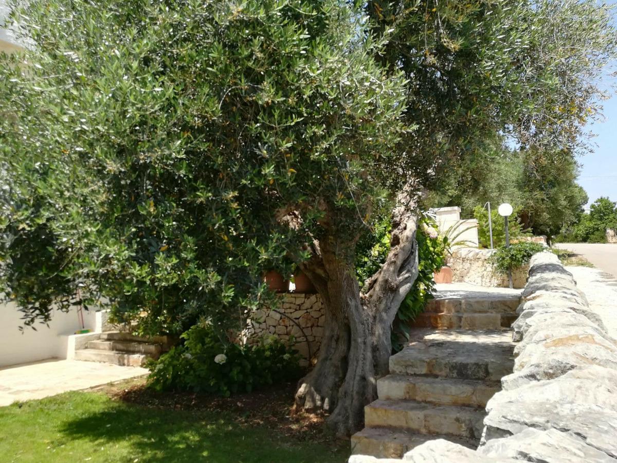 Aparthotel Residenza Aurora Ostuni Exterior foto